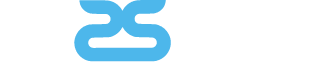Disskin